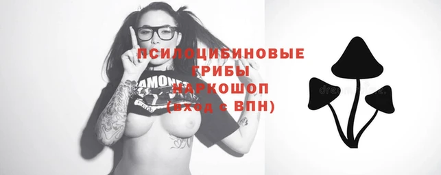 дурь Белокуриха