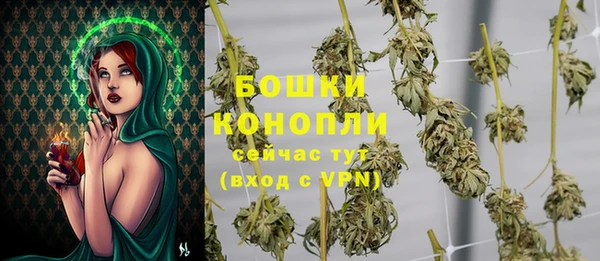 дурь Белокуриха