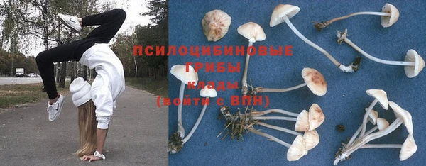 дурь Белокуриха