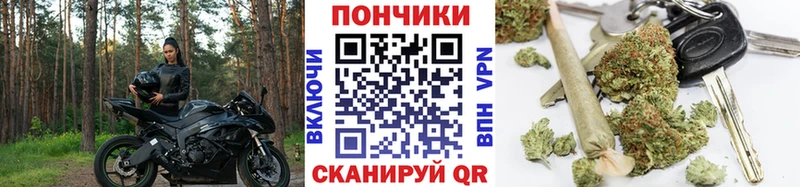 Купить где  Наволоки  Конопля индика 